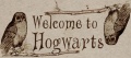 Welcome To Hogwarts.jpg